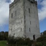 IMG_6981 IMG_6981