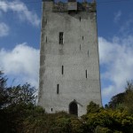 IMG_6983 IMG_6983