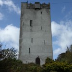 IMG_6984 IMG_6984