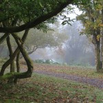 IMG_0179_sm IMG_0179_sm