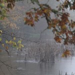IMG_0183_sm IMG_0183_sm