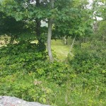 20170628_112129_resized