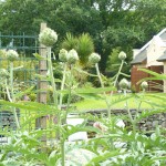 Garden with Garage