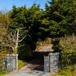 Photo: Niamh Whitty/www.pictureitsold.ie