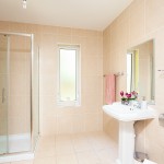 Photo: Niamh Whitty/www.pictureitsold.ie