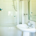 Photo: Niamh Whitty/www.pictureitsold.ie