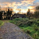 IMG_20211202_182355_2
