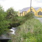 IMG_5735 IMG_5735