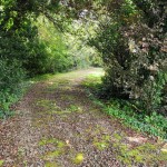 IMG_20230813_132752